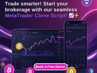 Metatrader-clone-script-