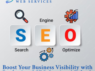 Boost-Your-Business-Visibility-with-Professional-SEO-Services-Softech-Web-Services-seo-agency-in-gurgaon-best-seo-company-in-gurgaon