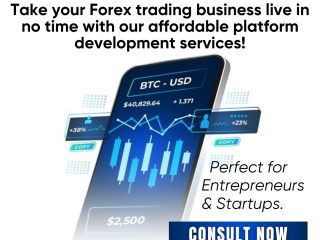 Forex-Trading-platform-development-
