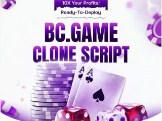 Bc.game-clone-script-2