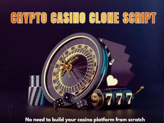 Crypto-casino-clone-script